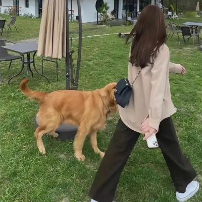 大唐风云2