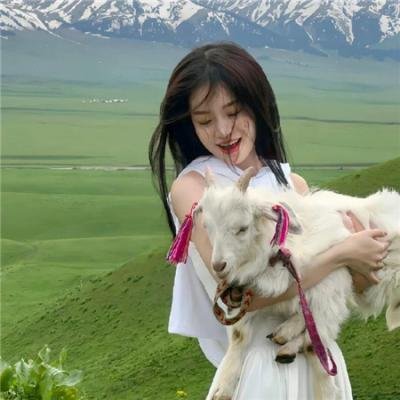 奇波和神奇动物的时代第二季